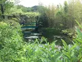 北川村「モネの庭」マルモッタンの写真_198627
