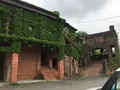 安芸市の写真_198669