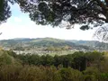 甘樫丘の写真_199276