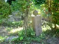 本行寺の写真_199563