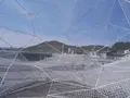 直島パヴィリオンの写真_199714