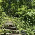 薬莱山の写真_199939