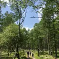 西ノ湖の写真_200213
