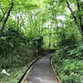 羅生門の写真_200250