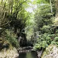 羽山渓の写真_200265
