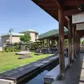 諏訪市湖畔公園の写真_200276