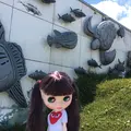 熱海サンビーチの写真_201350