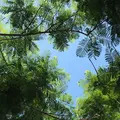 熱海サンビーチの写真_201352
