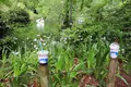 ブルースカイコーヒーの写真_201447