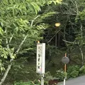 湯華の郷の写真_201658