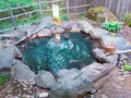 匠の宿 深山桜庵の写真_201830