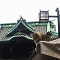 題経寺（柴又帝釈天）の写真_202147