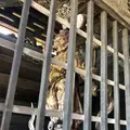 高麗山聖天院 正門の写真_202274