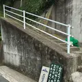 山の上ベーカリーの写真_202556
