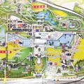 万博記念公園の写真_202583
