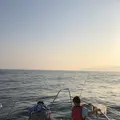 With‐Oceanの写真_202712