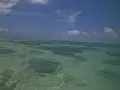 新城海岸の写真_202715