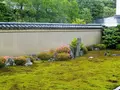 龍源院の写真_202740