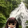 湯滝の写真_202778