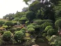 佐川町立青山文庫の写真_202971