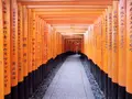 伏見稲荷大社の写真_203004
