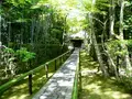 高桐院の写真_203059