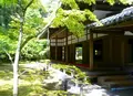 高桐院の写真_203062