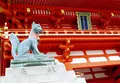 伏見稲荷大社の写真_203159