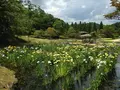 矢野温泉公園四季の里の写真_203649