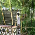 竹原市の写真_203811