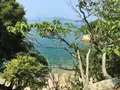 大久野島の写真_203823