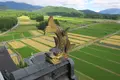 勝山城博物館の写真_203876