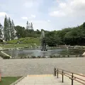 世田谷公園の写真_203948