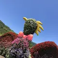 国営明石海峡公園の写真_204095