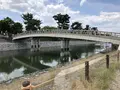 朝霧橋の写真_204157