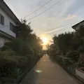水道路［相模原市］（バス）の写真_204198
