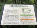 智光山公園中央広場の写真_204382