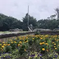 智光山公園中央広場の写真_204383