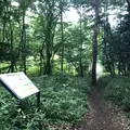 智光山公園中央広場の写真_204385