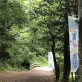智光山公園前山池の写真_204401
