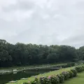 智光山公園前山池の写真_204402
