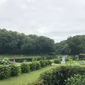 智光山公園前山池の写真_204404