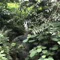 智光山公園前山池の写真_204406
