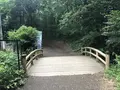 智光山公園前山池の写真_204409