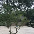 智光山公園前山池の写真_204410