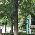 智光山公園子供動物園の写真_204416