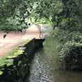 智光山公園子供動物園の写真_204418