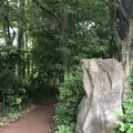 智光山公園子供動物園の写真_204422
