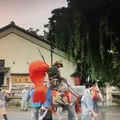 相馬野馬追の写真_204493