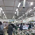 JAよこすか葉山 農産物直売所 すかなごっその写真_204549